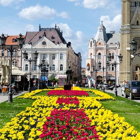 ! Promo! Central Evergreen Studio - Free Public Parking-Fast Wi-Fi Novi Sad Exterior foto